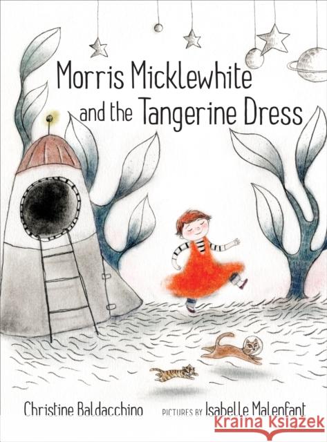 Morris Micklewhite and the Tangerine Dress Christine Baldacchino Isabelle Malenfant 9781554983476 Groundwood Books