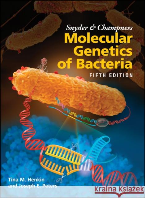 Snyder and Champness Molecular Genetics of Bacteria Tina M. Henkin Joseph E. Peters 9781555819750