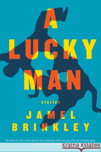 A Lucky Man: Stories Brinkley, Jamel 9781555978433 Graywolf Press