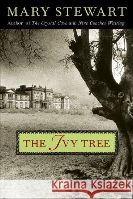 The Ivy Tree: Volume 7 Stewart, Mary 9781556527265 Chicago Review Press