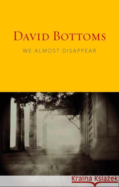 We Almost Disappear David Bottoms 9781556593314