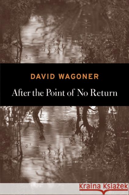 After the Point of No Return David Wagoner 9781556593826