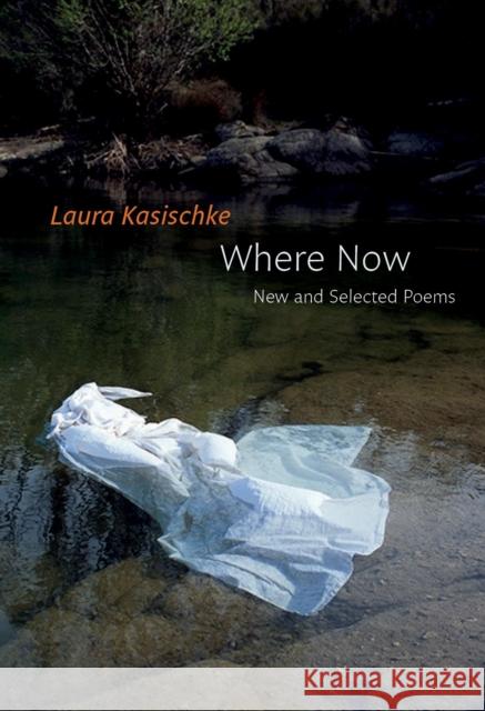 Where Now: New and Selected Poems Laura Kasischke 9781556595127