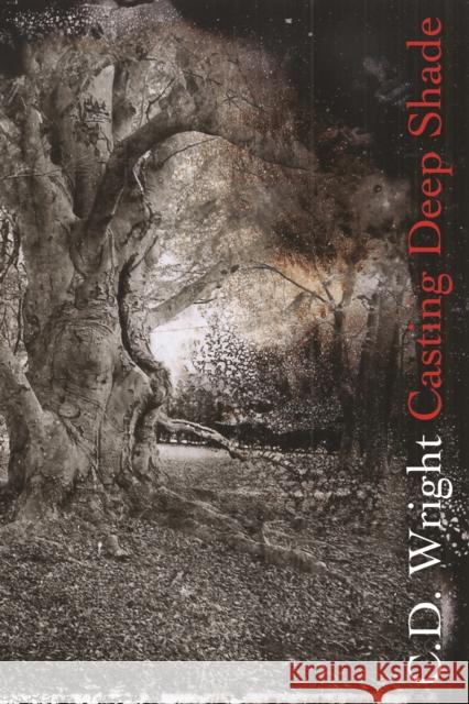 Casting Deep Shade: An Amble C. D. Wright 9781556595486 Copper Canyon Press