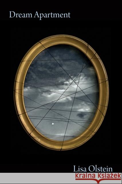 Dream Apartment Lisa Olstein 9781556596742