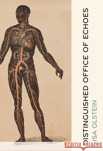 Distinguished Office of Echoes Lisa Olstein 9781556597237