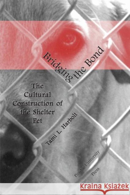 Bridging the Bond : The Cultural Construction of the Shelter Pet Tami L. Harbolt 9781557532602 Purdue University Press