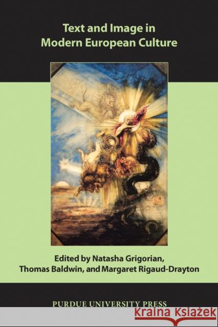 Text and Image in Modern European Culture Natasha Grigorian 9781557536280