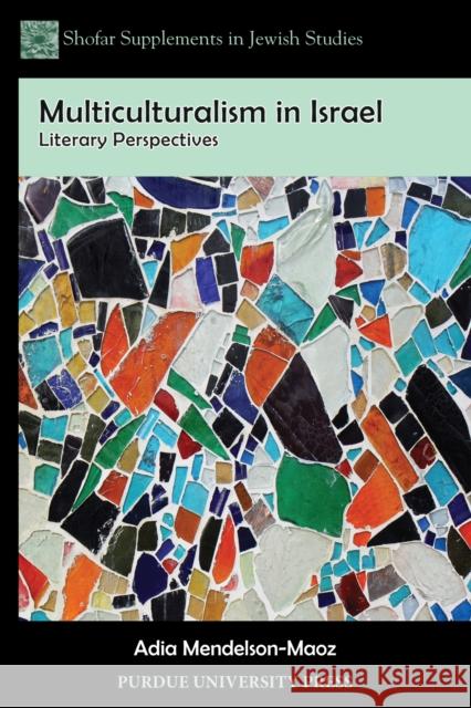 Multiculturalism in Israel: Literary Perspectives Adia Mendelson-Maoz 9781557536808