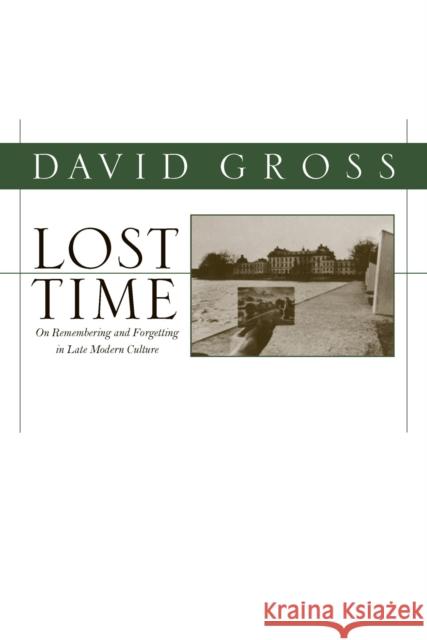 Lost Time: On Remembering and Forgetting in Late Modern Culture Gross, David 9781558497580 University of Massachusetts Press
