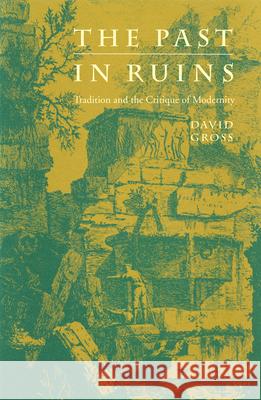 The Past in Ruins: Tradition and the Critique of Modernity Gross, David 9781558497597 University of Massachusetts Press