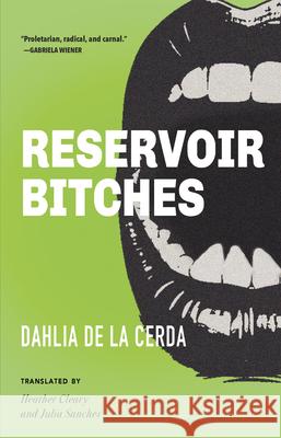 Reservoir Bitches: Stories  9781558613119 Feminist Press