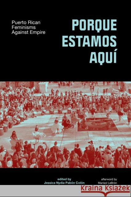 Porque Estamos Aqu: Puerto Rican Feminisms In and Against Empire  9781558613607 Feminist Press