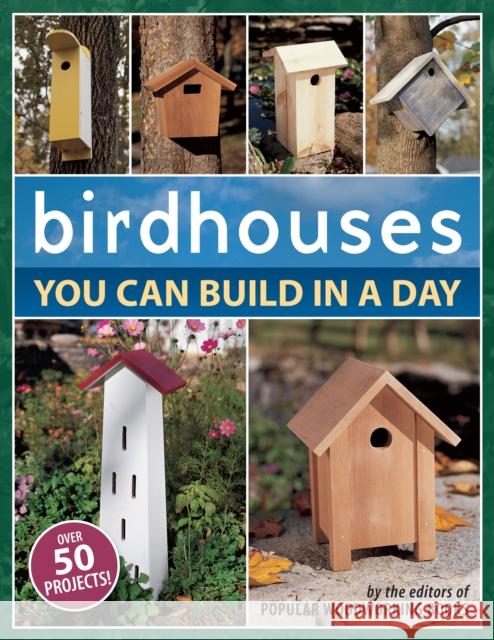 Birdhouses You Can Build in a Day Popular Woodworking Books 9781558707047