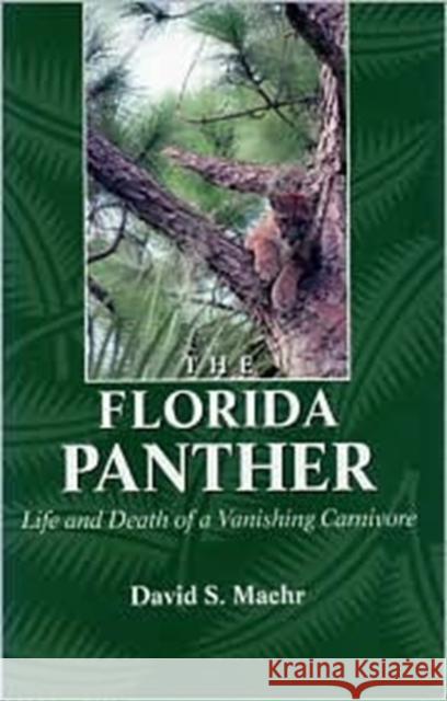 The Florida Panther: Life and Death of a Vanishing Carnivore Maehr, David 9781559635073