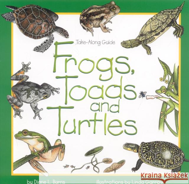 Frogs, Toads and Turtles Diane Burns 9781559715935