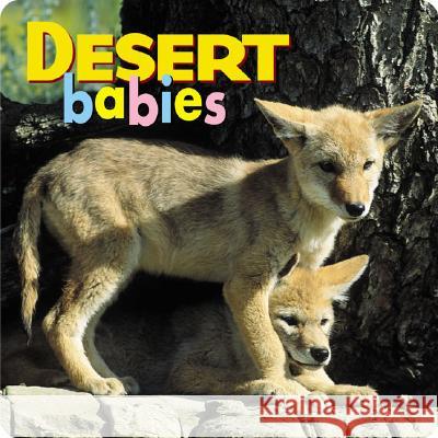 Desert Babies Northword Books for Young Readers        North Work                               Kristen McCurry 9781559718721 Northword Press