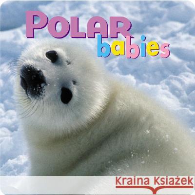 Polar Babies Northword Press 9781559718752 Northword Press