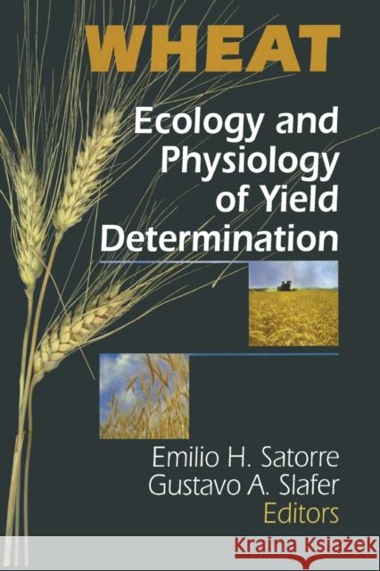 Wheat: Ecology and Physiology of Yield Determination Satorre, E. H. 9781560228752 Taylor & Francis