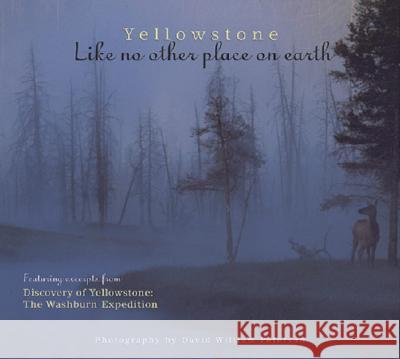 Yellowstone: Like No Other Place on Earth David Peterson David W. Peterson Farcountry Press 9781560372073 Farcountry Press