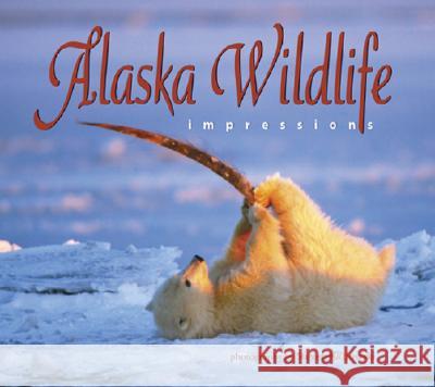 Alaska Wildlife Impressions Steven Kazlowski 9781560372837 Farcountry Press