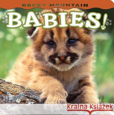 Rocky Mountain Babies! Wendy Shattil Bob Rozinski 9781560374992