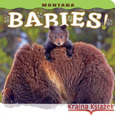 Montana Babies! Steph Lehmann 9781560376798 Farcountry Press