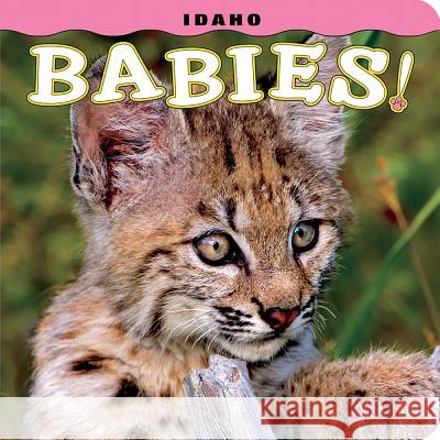 Idaho Babies! Steph Lehmann 9781560376842 Farcountry Press