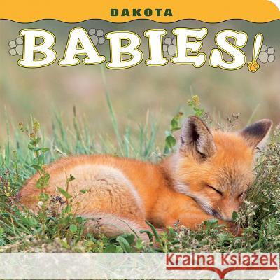 Dakota Babies! Steph Lemann 9781560376859 Farcountry Press