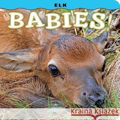 Elk Babies! Steph Lehmann Don Jones 9781560376866