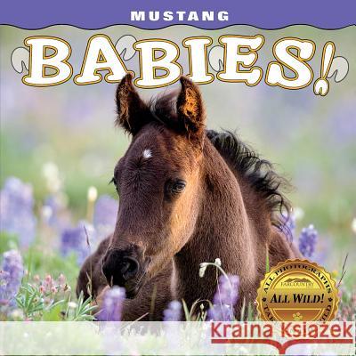 Mustang Babies! Carol J. Walker 9781560377276