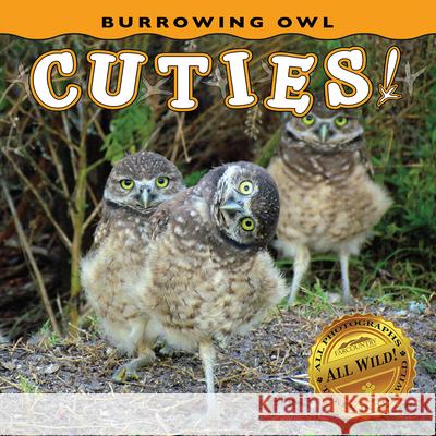 Burrowing Owl Cuties! Farcountry Press 9781560378587 Farcountry Press