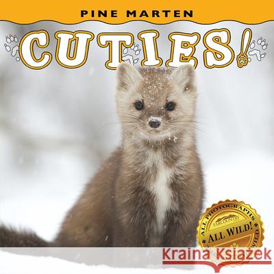 Pine Marten Cuties! Farcountry Press 9781560378648 Farcountry Press