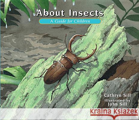 About Insects: A Guide for Children Cathryn Sill John Sill 9781561458820 Peachtree Publishers