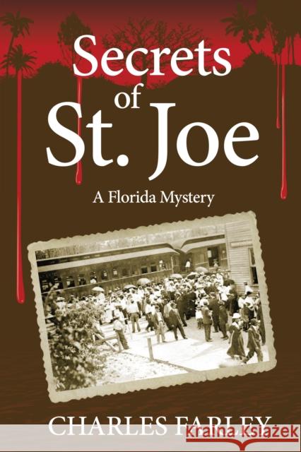 Secrets of St. Joe  9781561647279 Pineapple Press