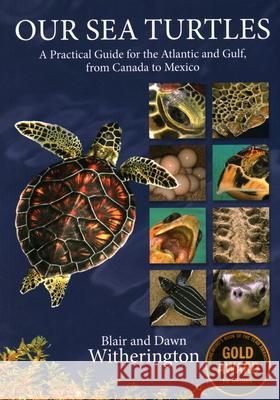 Our Sea Turtles: A Practical Guide for the Atlantic and Gulf, from Canada to Mexico Blair Witherington Dawn Witherington 9781561647361