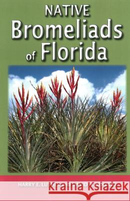 Native Bromeliads of Florida David H. Benzing Harry E. Luther 9781561649679 Pineapple Press