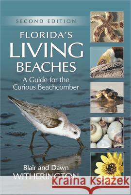 Florida's Living Beaches: A Guide for the Curious Beachcomber Blair Witherington Dawn Witherington 9781561649815 Pineapple Press