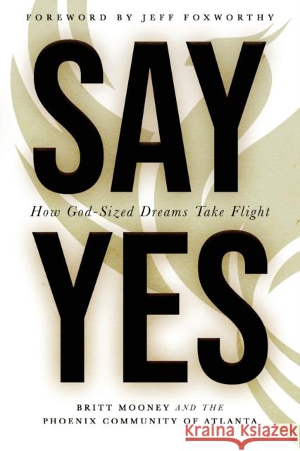 Say Yes: How God-Sized Dreams Take Flight Britt Mooney 9781563094101 Iron Stream Books