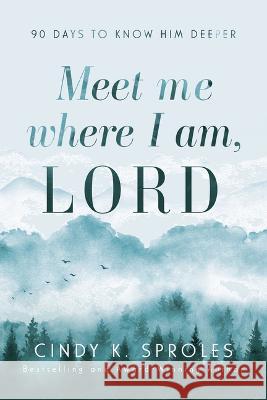 Meet Me Where I Am, Lord: 90 Days to Know Him Deeper Cindy K. Sproles 9781563096150 Iron Stream