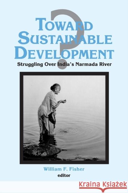 Toward Sustainable Development?: Struggling Over India's Narmada River Fisher, Ronald C. 9781563245251