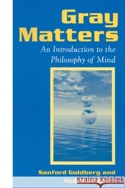 Gray Matters: Introduction to the Philosophy of Mind Goldberg, Sanford 9781563248849 M.E. Sharpe