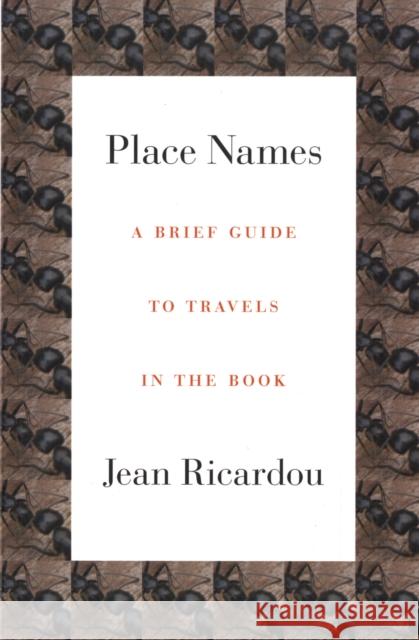 Place Names: A Brief Guide to Travels in the Book Ricardou, Jean 9781564784780 Dalkey Archive Press