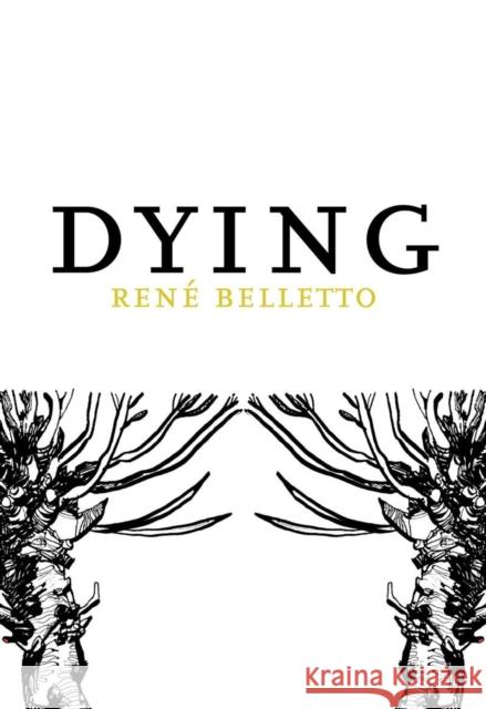 Dying Rene Belletto Alexander Hertich 9781564785930 Dalkey Archive Press