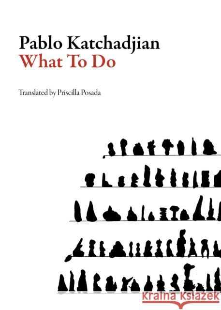 What to Do Pablo Katchadjian Priscilla Posada 9781564787057 Dalkey Archive Press