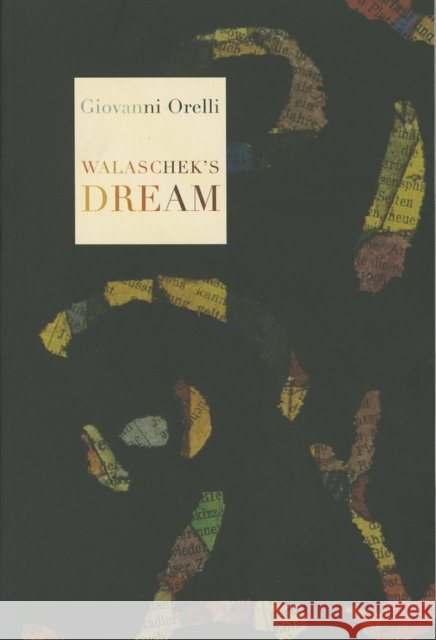 Walaschek's Dream Giovanni Orelli Jamie Richards 9781564787569
