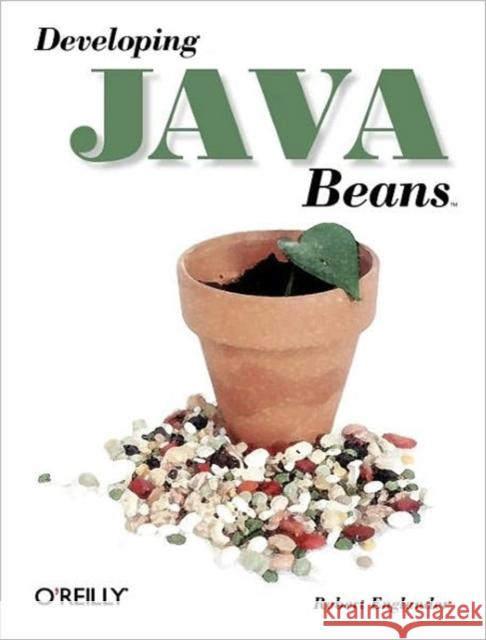 Developing Java Beans Robert Englander 9781565922891 O'Reilly Media