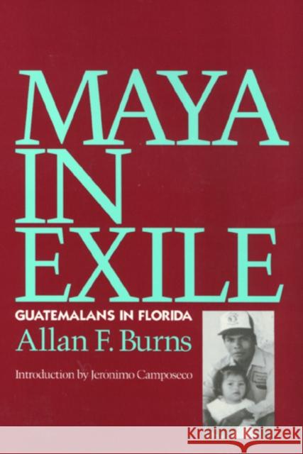 Maya In Exile: Guatemalans in Florida Allan Burns 9781566390354