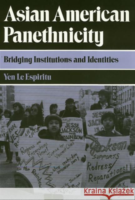 Asian American Panethnicity: Bridging Institutions and Identities Espiritu, Yen 9781566390965