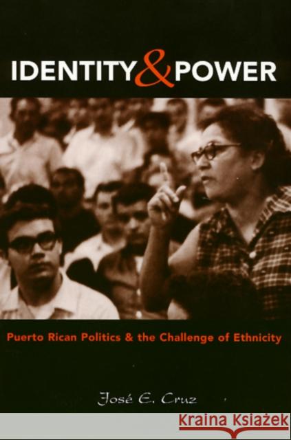 Identity and Power: Puerto Rican Politics and the Challenge of Ethnicity Cruz, Jose 9781566396059 Temple University Press